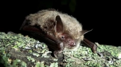 Страница вежба