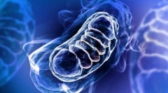 Метаболизам