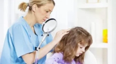 Обработка на куќата, работи и алатки за време на педикулозата