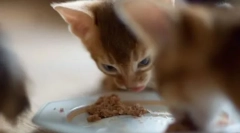 Povovost преглед за материи