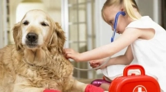 Прва итен случај