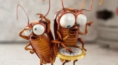 Опис и изградба на лебарки