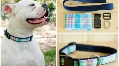 Куче јака со свои раце: едноставна инструкција