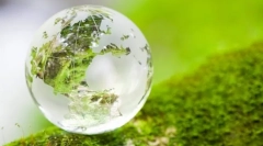 Основните концепти на екосистемот