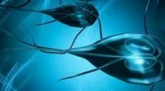 Главните симптоми на ламбиоза