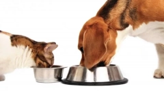 Карактеристики на класата на класа холистички