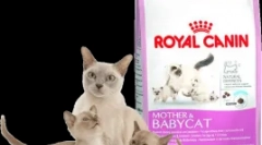 Карактеристики на нутритивните мачки