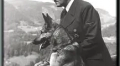 Дауфман шепард: кој е