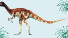 Oviraptor