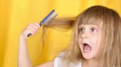 Педиколза кај деца: како да се донесат вошки и гнида