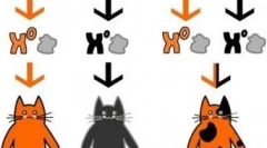 Забележани мачки