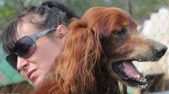 Татко од рекламирање чапи: што се случи со легендарното куче