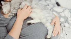 Зошто мачката паѓа на човекот?