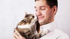 Зошто мачките како поттик на пот?