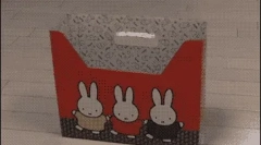 Зошто мачките сакаат кутии?