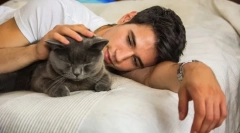 Зошто мачките секогаш го окупираат домаќинот