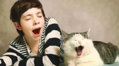 Зошто мачките проѕеваат