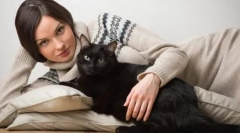 Зошто осамени жени се одгледуваат мачки