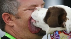 Зошто куче лижето лице и рацете на сопственикот?