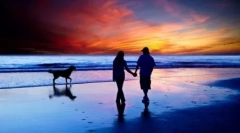 Зошто кучето се нарекува најдобар пријател на човекот