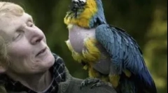 Избор на најстарите животни кои живеат на земјата