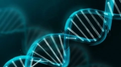 Концепти на генетика