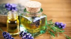 Популарни масла од вошки и gid