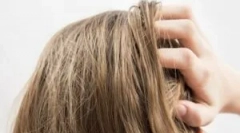 Ред на примена на факти за последен и gdid