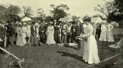 Британски и шкотски мачки раса: заеднички карактеристики и разлики