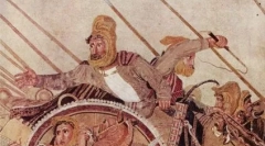 Раса мачки со сјајна муцка