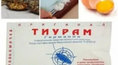 Тирам во прав од лебарки