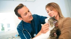 Постојано се прошири учениците од страна на мачката: зошто тоа се случува да се направи што да се направи