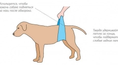 Губење на свеста