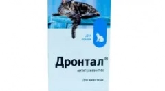 Зголемена плунка на мачката: зошто се јавува и какви мерки треба да се направи
