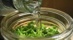 Правила за употреба на тинктура и скаларен црввуд