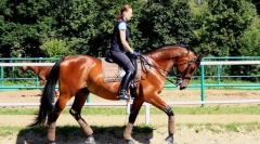 Возење безбедносни упатства