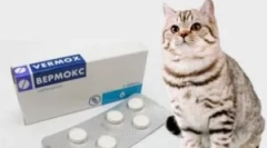 Подготовка од паразити vermoks: инструкции за употреба за деца