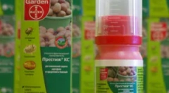 Престиж: назначување и правила