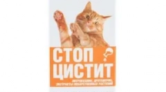 Третман запре циститис за мачки: ефективен лек за воспалителни болести на мочниот меур и бубрезите
