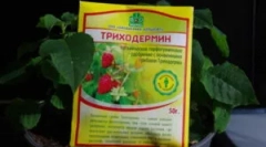 Подготовка triphodermin и инструкции за неговата употреба