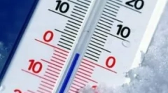 На каква температура, болви умираат?