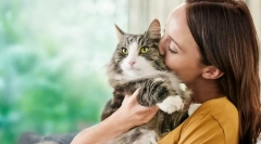 Причини за алергии на мачки
