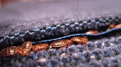 Причини зошто грешки доаѓаат