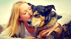 Шелтер за кучиња во регионот москва и москва. Дајте му на вашиот живот на пријател