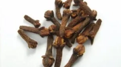 Примена на каранфили од паразити