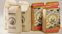 Употребата на пиретрум за да ги уништи инсектите