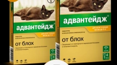 Примена на предност на лекот (advanda) за мачки