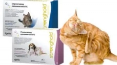 Примена на упориштето за дрога за мачки