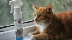 Употребата на флек и грини