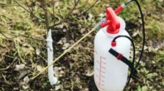 Примена во градинарството на железо епифани